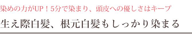 頭皮への優しさはそのまま、５分で染まる髪萌カラーアップ